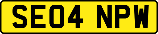 SE04NPW