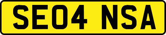 SE04NSA