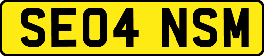 SE04NSM