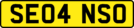 SE04NSO