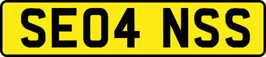SE04NSS