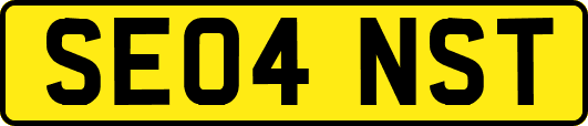 SE04NST