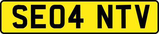SE04NTV