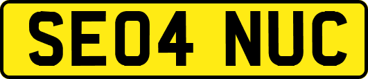 SE04NUC