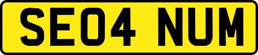 SE04NUM