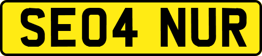 SE04NUR