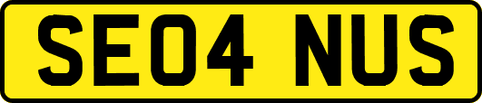 SE04NUS