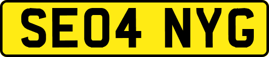 SE04NYG