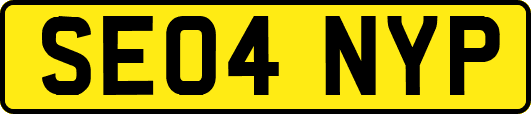 SE04NYP