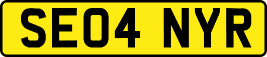 SE04NYR