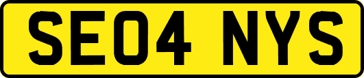 SE04NYS