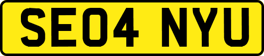 SE04NYU