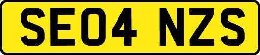 SE04NZS