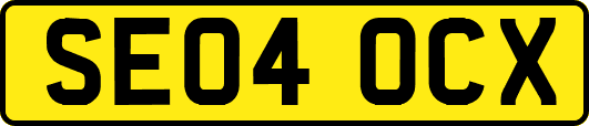 SE04OCX