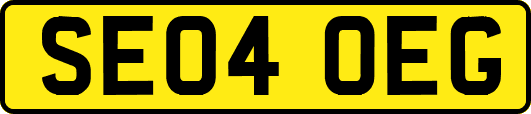 SE04OEG