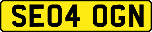 SE04OGN