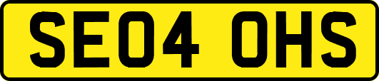 SE04OHS
