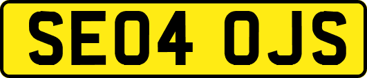 SE04OJS