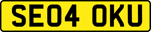 SE04OKU