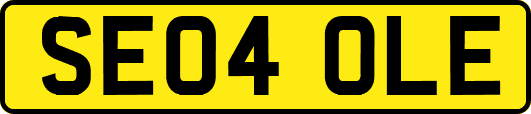 SE04OLE