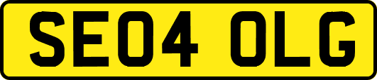 SE04OLG