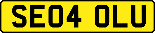 SE04OLU