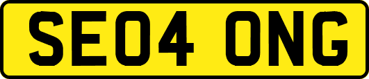 SE04ONG