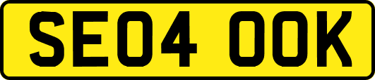 SE04OOK