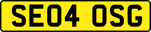 SE04OSG