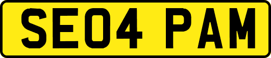 SE04PAM