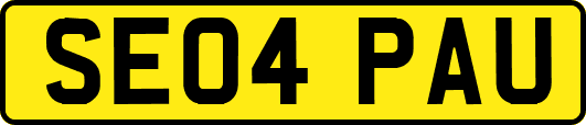 SE04PAU
