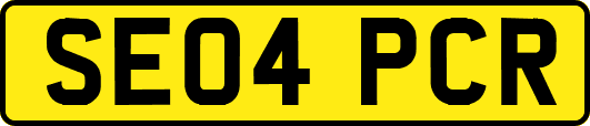 SE04PCR
