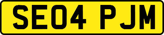 SE04PJM