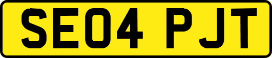 SE04PJT