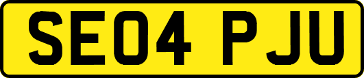 SE04PJU