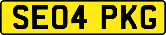 SE04PKG