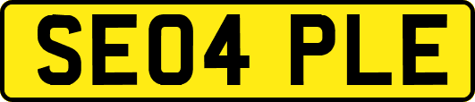SE04PLE