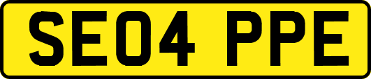 SE04PPE