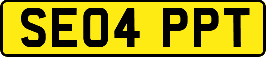 SE04PPT