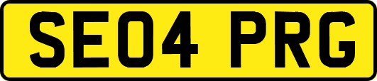 SE04PRG