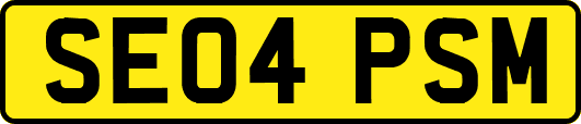 SE04PSM