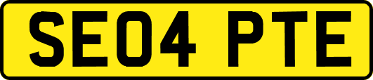 SE04PTE
