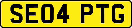SE04PTG