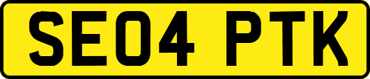 SE04PTK