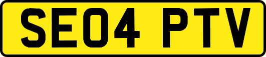 SE04PTV