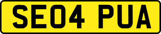 SE04PUA