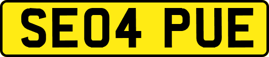 SE04PUE