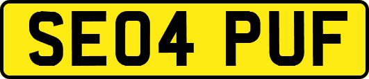 SE04PUF