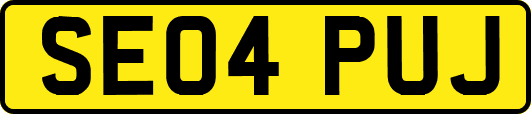 SE04PUJ