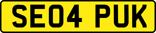 SE04PUK